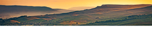 About Us DALES_Banner NEW-3