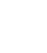 Our Values_Value-1