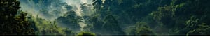 Environmental_Banner NEW