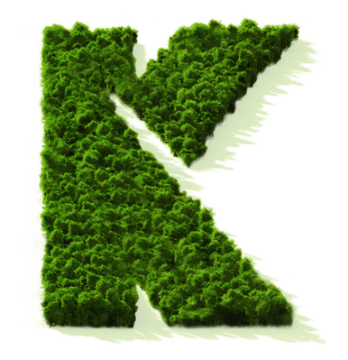 Forest K-4